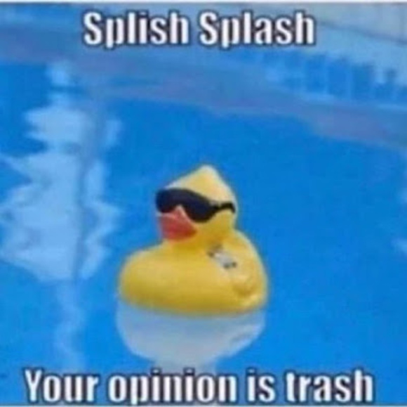 Meet your Posher, Tineau - Picture 1 of 1